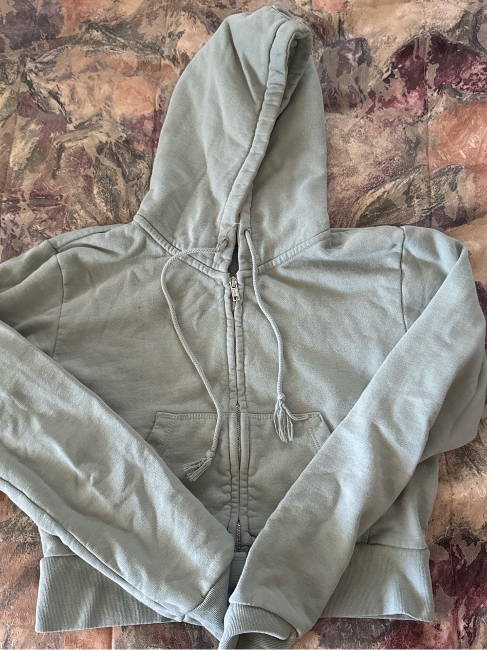 John Galt Light Sage Zip-Up Hoodie with Hood and Drawstrings